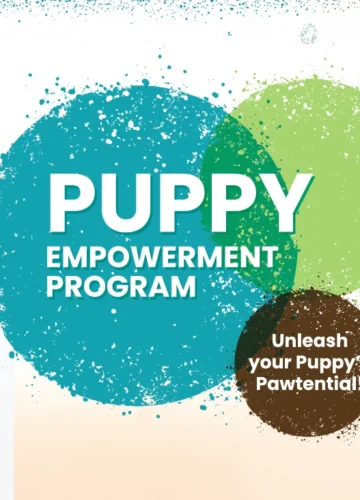 Online puppy school puppy empowerment program